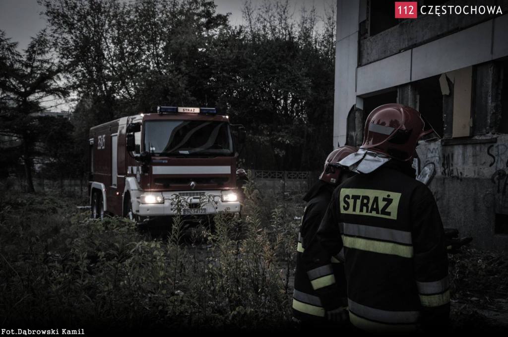 10712236_715933485127944_526412121_o