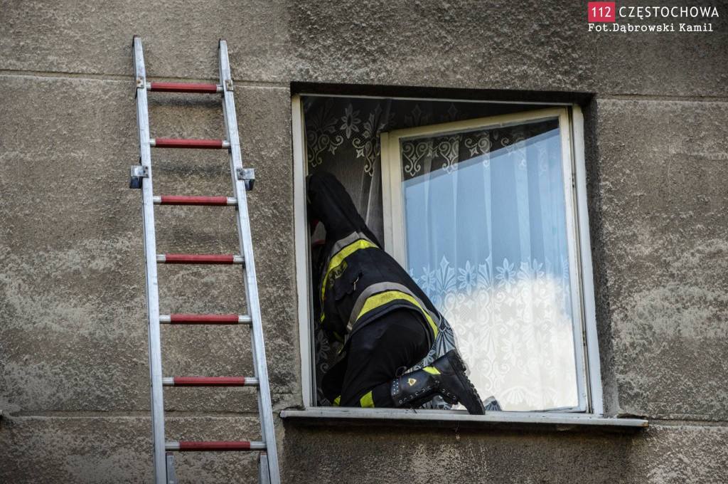 1959087_715362808518345_1143213885_o