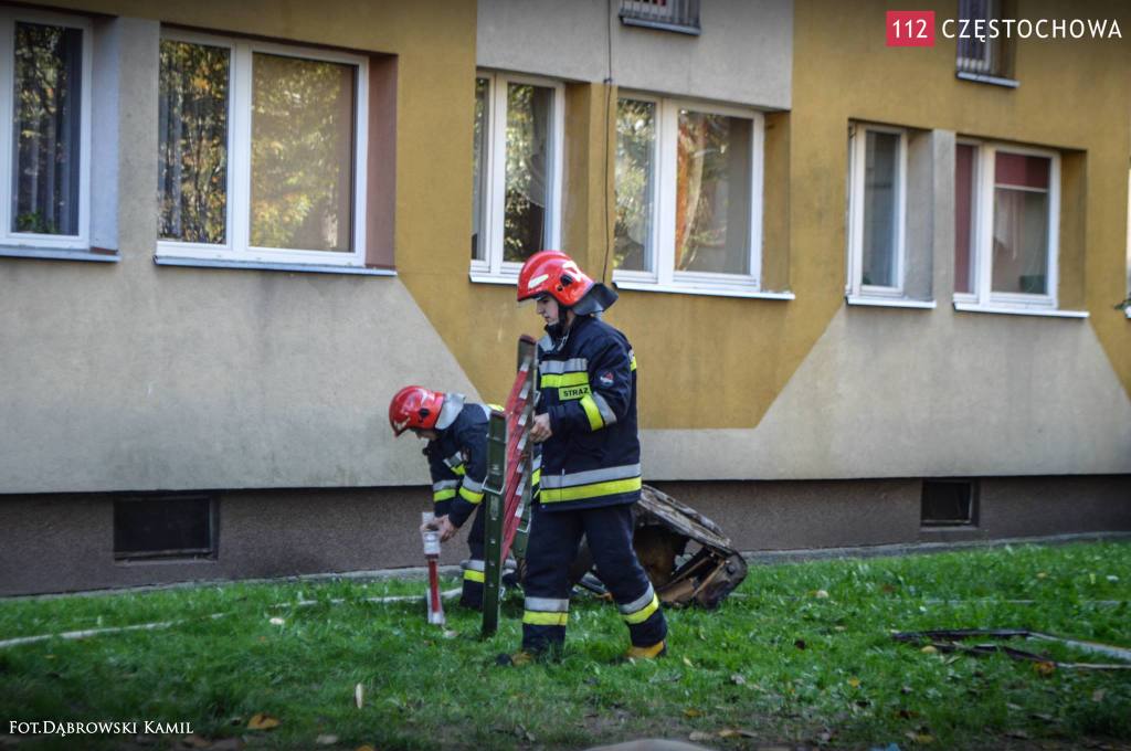 10730929_726118020776157_1476464625_o