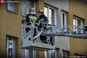 10732456_726117374109555_1642219864_o