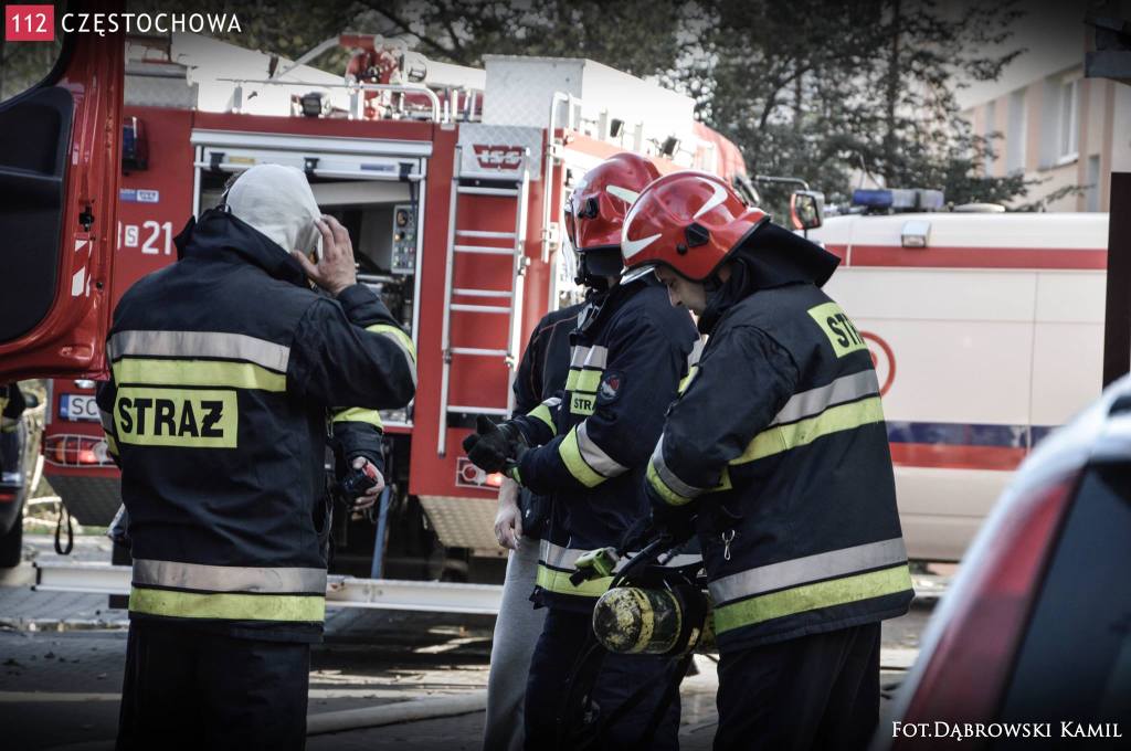 10733164_726117734109519_1672245302_o