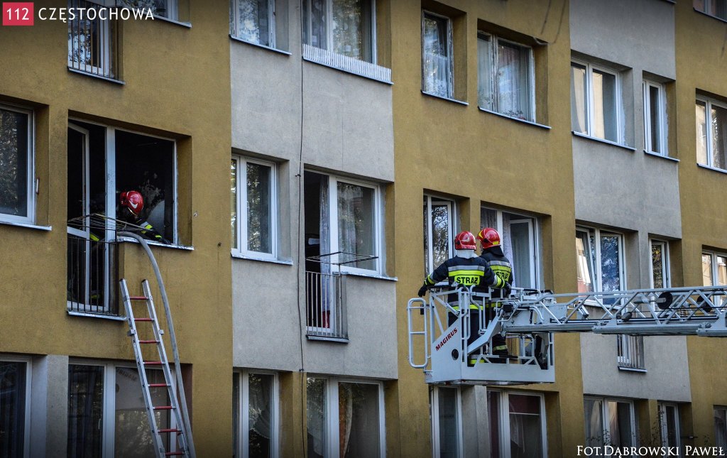 10743062_726116000776359_441610521_o