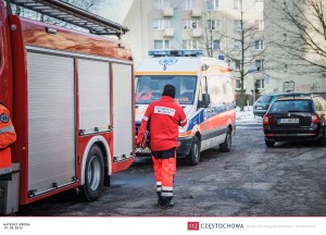 10954042_828319490567600_393038531_n