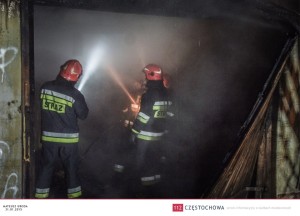 10966491_828051613927721_223817040_n