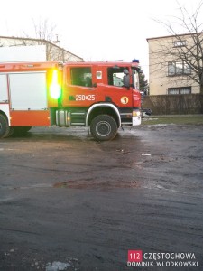 10979239_834223499977199_156737607_n