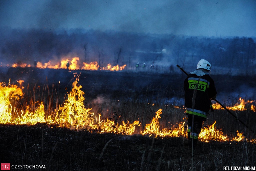 10807182_810317429062042_895699703_o