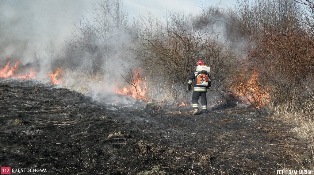 11068337_808873085873143_425042198_o