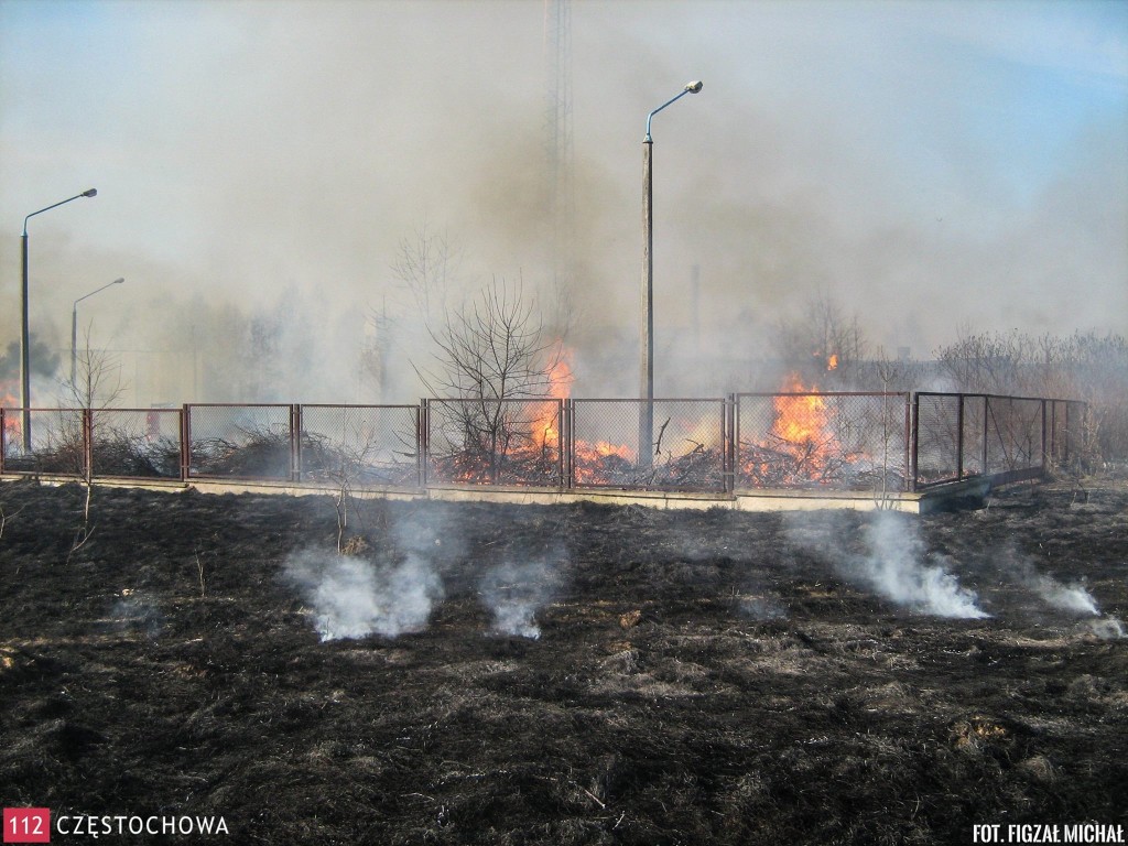 11069983_808873155873136_241693906_o