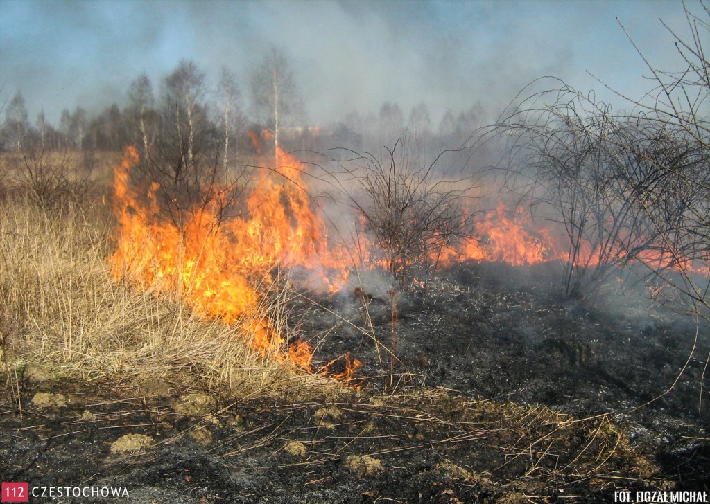 11071349_808873162539802_1083011365_o