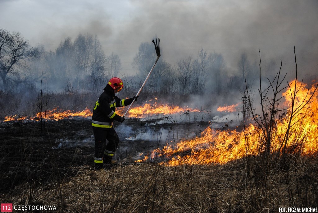 11093955_813254888768296_35690407_o