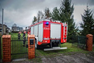 11072022_862427773823438_596571121_o