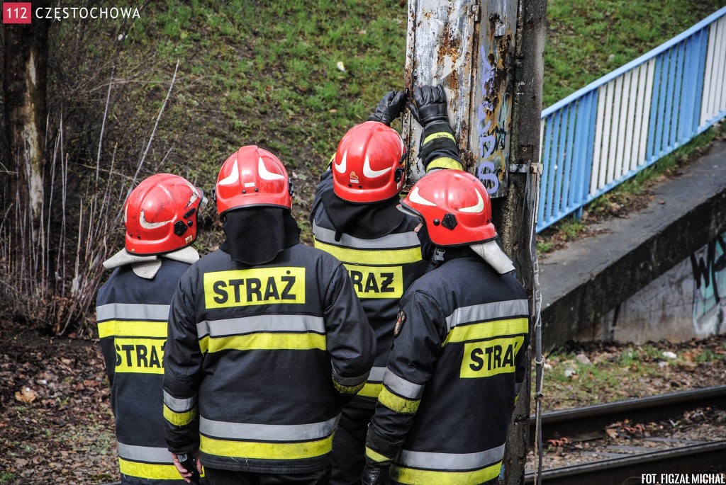 11087352_817494888344296_1231817406_o