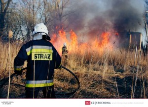 11118428_873084402757775_1947389922_n