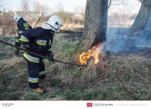 11121228_873084446091104_1824375693_n