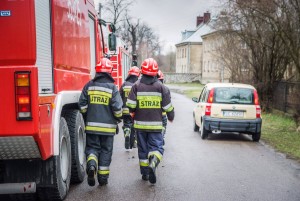 11128852_862427747156774_209920169_o