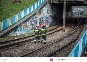 11130518_862351363831079_27221609_n