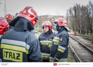 11131957_862351353831080_1887727365_n