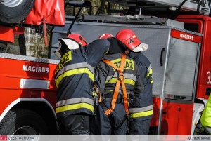 11159437_827562637337521_98103099_o