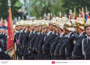 11195407_875192209213661_1505333960_n