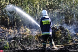 11247158_847659195327865_2011276329_o