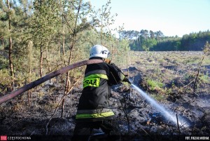 11328716_847659191994532_1500779384_o