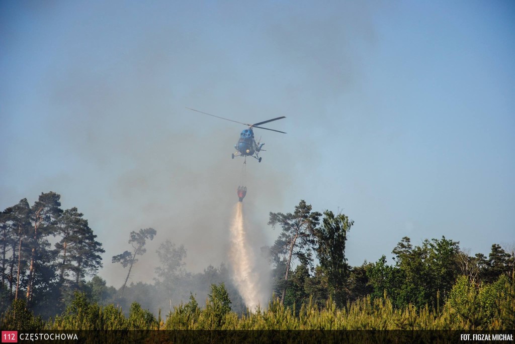 11347874_847659171994534_220575892_o