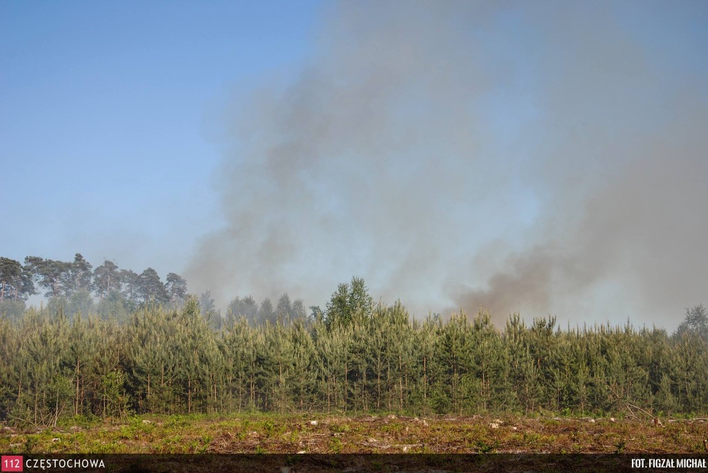 11420194_847659178661200_412277491_o