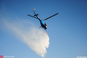 11420324_847659168661201_917967107_o