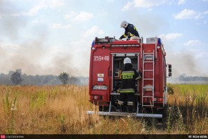 11831331_876319832461801_1860054998_o