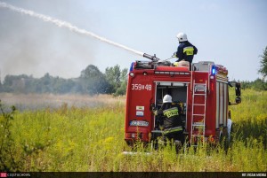 11837015_876319849128466_1374913615_o