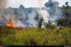 11847461_876319839128467_123136564_o