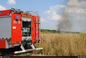 11847788_876319685795149_1786443809_o