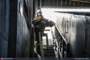 11852460_860021090719182_461024287_o