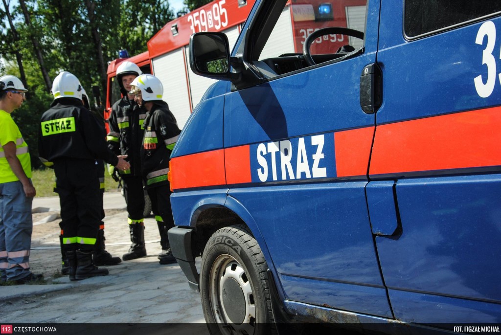 11852780_875952299165221_136493739_o