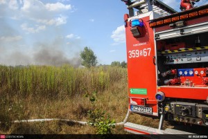 11852790_876319825795135_762938106_o