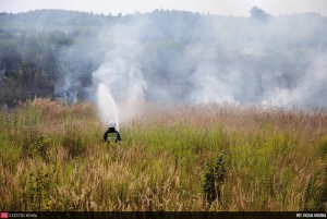 11852796_876319782461806_1334227749_o