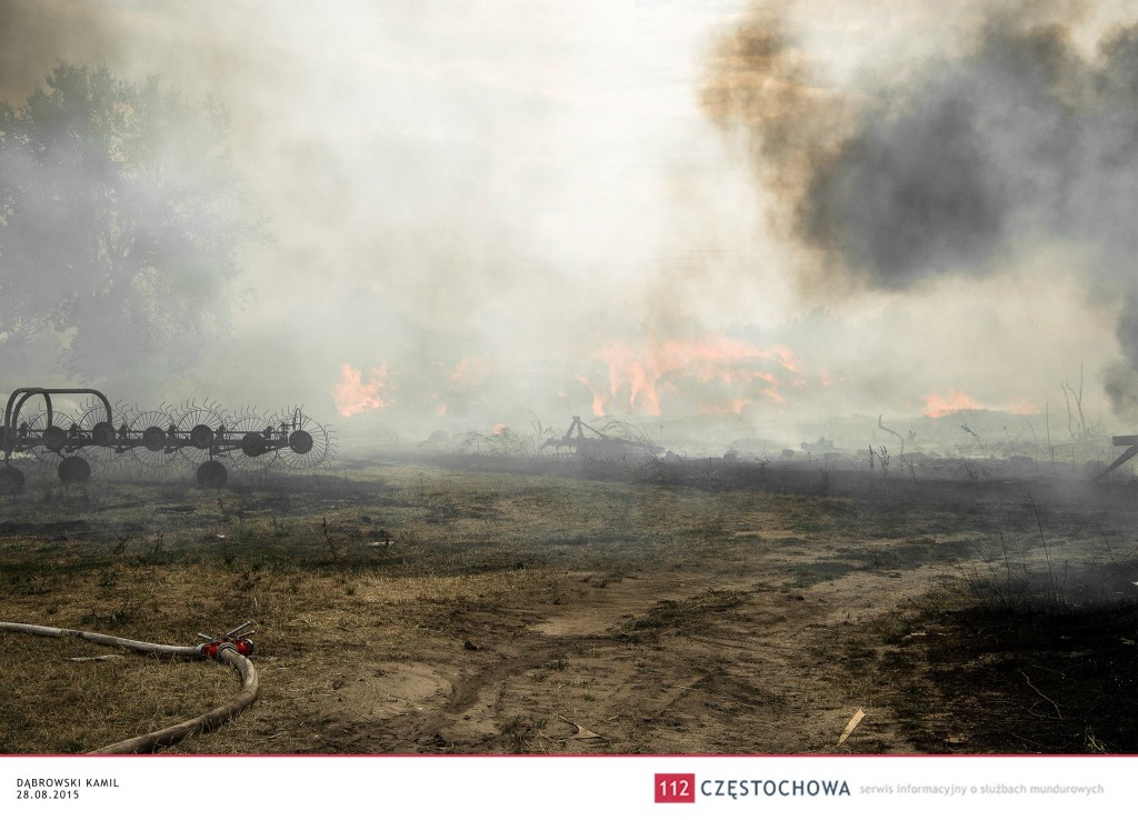 11878984_871585822896042_3964111740819387291_o