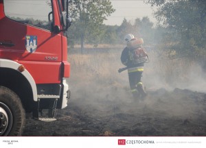 11888636_888188067941644_1759661848596798950_o