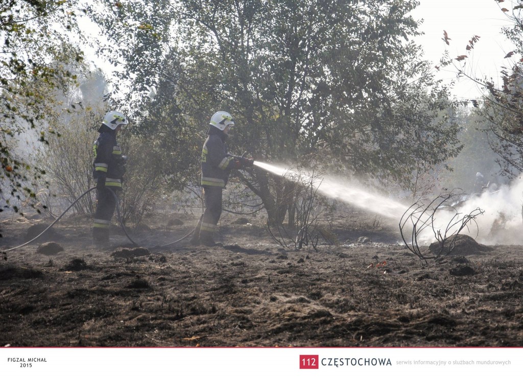 11895126_888188081274976_6231898011341988244_o