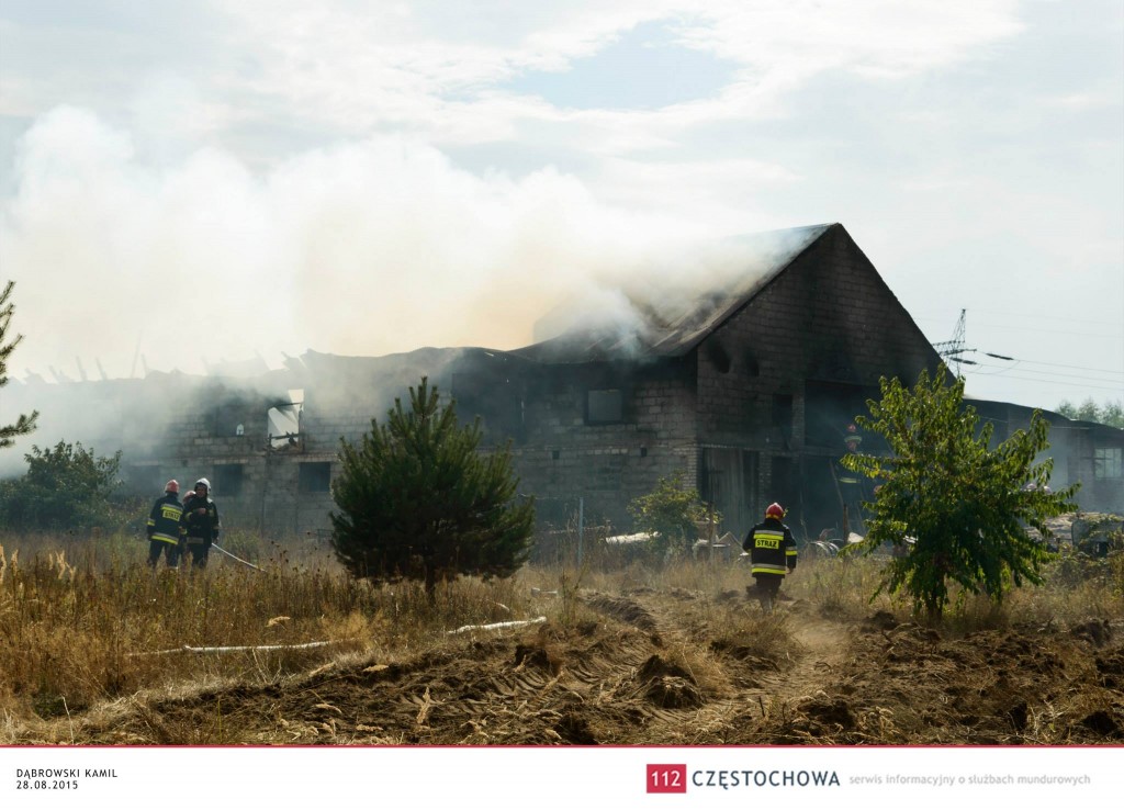 11942343_871585946229363_4074269626079955609_o