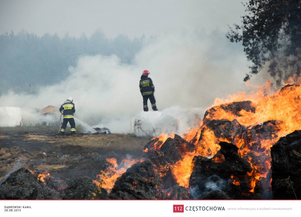 11953544_871585589562732_8092115720333202917_o