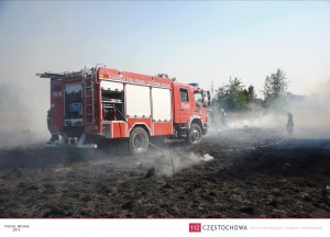 11975317_888187787941672_662253039_o