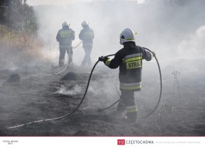 11975329_888187791275005_879751496_o