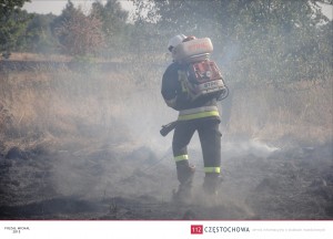 11975427_888187767941674_319345655_o