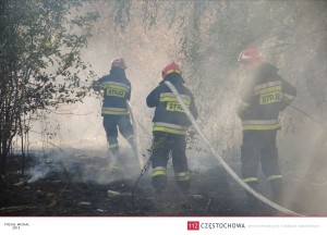 11986145_888187834608334_2007375429_o