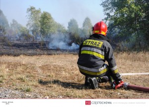 11990819_888187837941667_1850148593_o