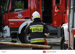 11703592_891359694291148_4559418828212971720_o