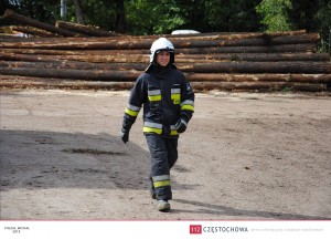 11922986_891359524291165_1688451379594049913_o