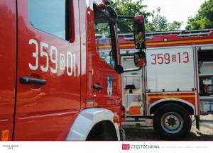 11953452_891359714291146_4309269414522770353_o