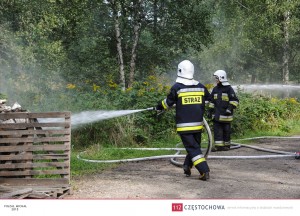 11953491_891359057624545_9187886856765769981_o